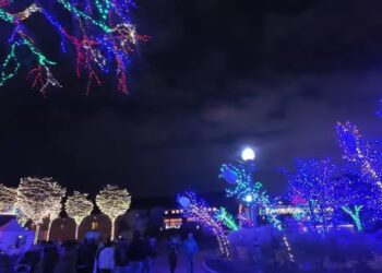 ZooLights