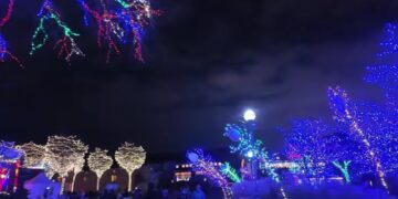 ZooLights