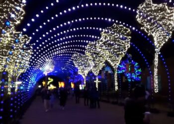 Lincoln Park ZooLights