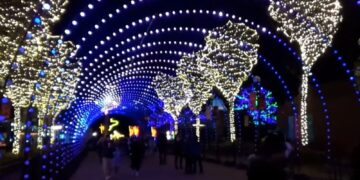 Lincoln Park ZooLights