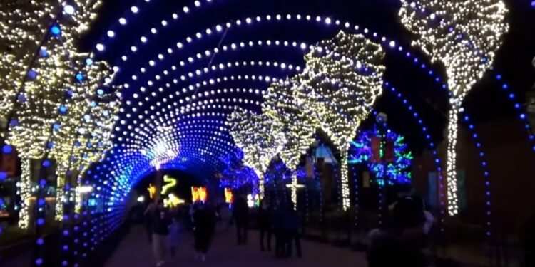 Lincoln Park ZooLights