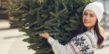 Čikago otvara 27 lokacija za reciklažu božićnih jelki – evo gde i kada