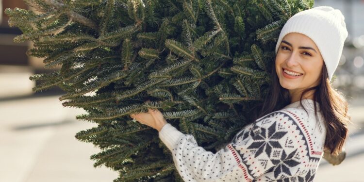 Čikago otvara 27 lokacija za reciklažu božićnih jelki – evo gde i kada