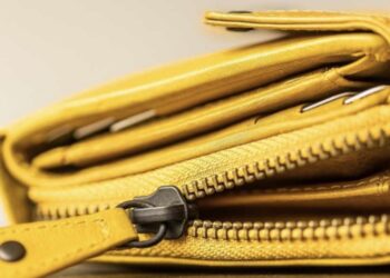 Hoće li u 2026. novčanici u Srbiji biti puniji i koji poslovi će biti najisplativiji