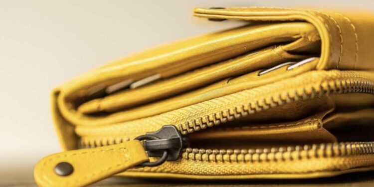 Hoće li u 2026. novčanici u Srbiji biti puniji i koji poslovi će biti najisplativiji