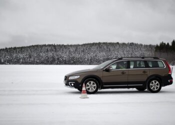 Illinois obustavio sve vozačke testove – Kada bi mogli da se nastave