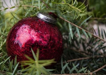 Sivi Božić u Čikagu: Kiša, magla i prolećne temperature umesto snega