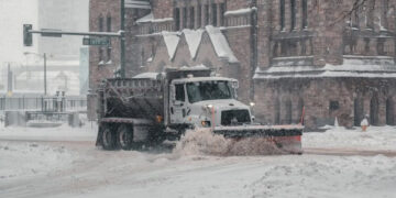 Čikago ponovo traži ime za grtalice: Ako imate dobru foru – možete ući u istoriju grada