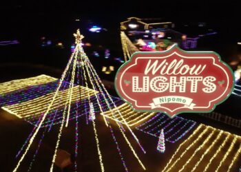 Willow Hill Lights