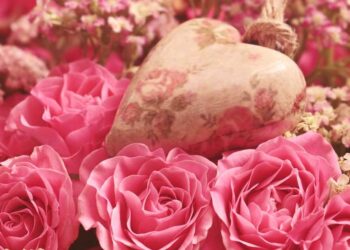 Februarske ruže, milijarde dolara i romantične komedije: Šta sve znamo o Danu zaljubljenih