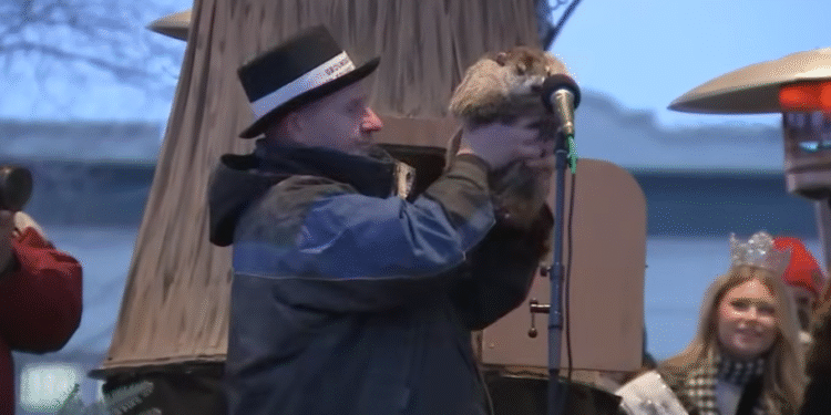 Dok Phil najavljuje zimu, Woodstock Willie donosi dobre vesti: Proleće stiže ranije nego što mislite