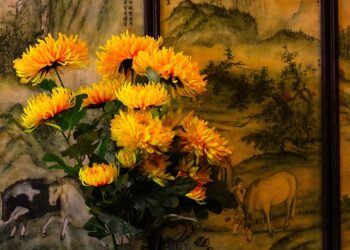 Proleće stiže ranije nego što mislite: Čikago otvara spektakularne izložbe cveća za Dan zaljubljenih