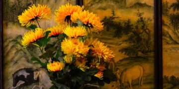 Proleće stiže ranije nego što mislite: Čikago otvara spektakularne izložbe cveća za Dan zaljubljenih