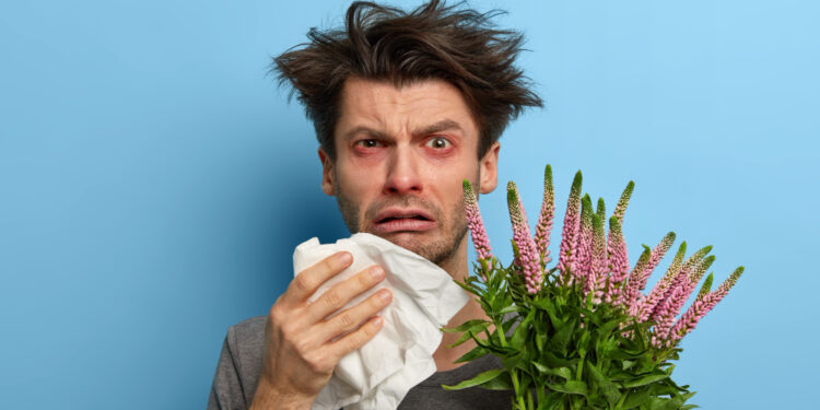 Proleće donosi talas alergija: Evo kako da se zaštitite od polena, kijanja i zapušenog nosa