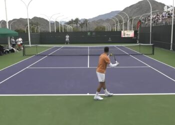 Preokret Đokovića za treće kolo Indijan Velsa, Majhšak pružio dobar otpor