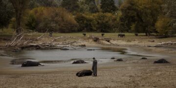 Izašao novi trejler za Senke 3: Bjelogrlić razotkriva tajne igre moći