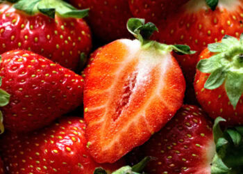 Jagode