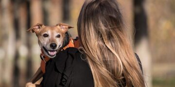 Pomoć za rastuće troškove nege kućnih ljubimaca, poput hrane i veterinarskih računa, dostupna u oblasti Čikaga