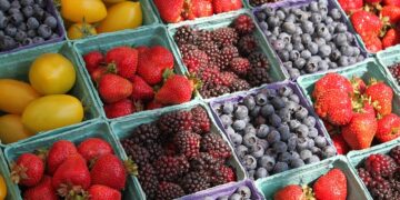 Posle 18 godina čekanja: Najpoznatija pijaca u Čikagu konačno dobija stalni dom – Evo gde i kada