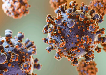 Hantavirus