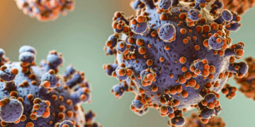 Hantavirus