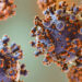Hantavirus