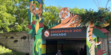 Štrajk radnika potresao Brookfield Zoo – Posetioci upozoreni