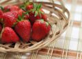 Strawberry Fest 2026 nadomak Čikaga donosi jagode, koncerte i zabavu kakva se ne propušta