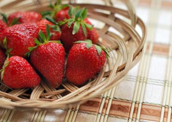 Strawberry Fest 2026 nadomak Čikaga donosi jagode, koncerte i zabavu kakva se ne propušta