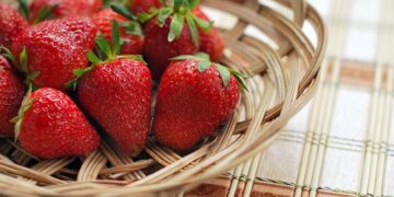 Strawberry Fest 2026 nadomak Čikaga donosi jagode, koncerte i zabavu kakva se ne propušta