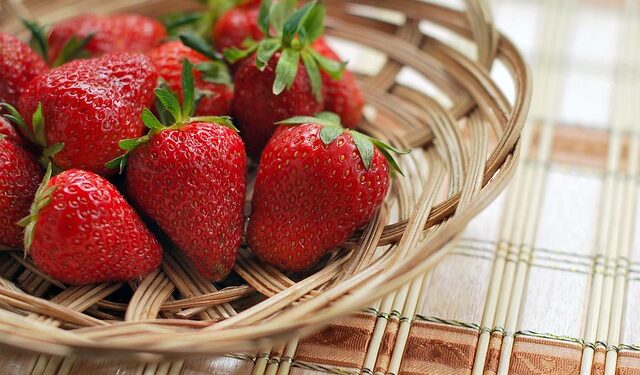 Strawberry Fest 2026 nadomak Čikaga donosi jagode, koncerte i zabavu kakva se ne propušta
