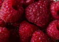 maline