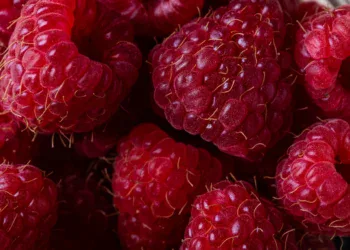 maline