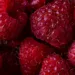 maline