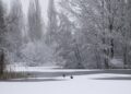Kakva zima čeka Čikago? Prognoze potpuno različite, a Super El Niño mogao bi sve da promeni