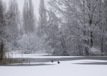 Kakva zima čeka Čikago? Prognoze potpuno različite, a Super El Niño mogao bi sve da promeni