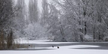 Kakva zima čeka Čikago? Prognoze potpuno različite, a Super El Niño mogao bi sve da promeni