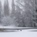 Kakva zima čeka Čikago? Prognoze potpuno različite, a Super El Niño mogao bi sve da promeni